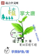 苏南星陆北渊免费阅读全文最新章节